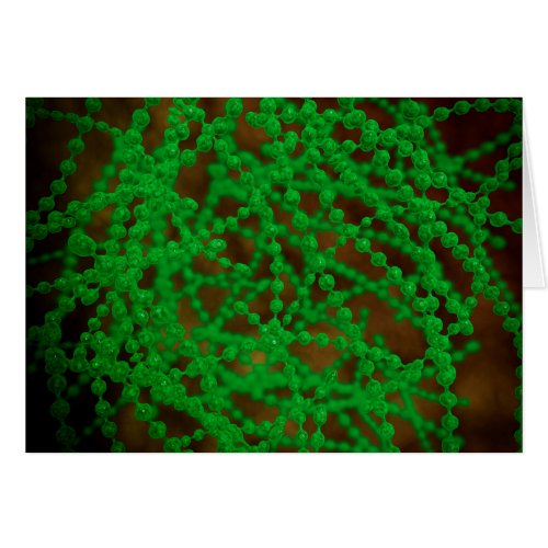 Microscopic View Of Cocci Bacterium