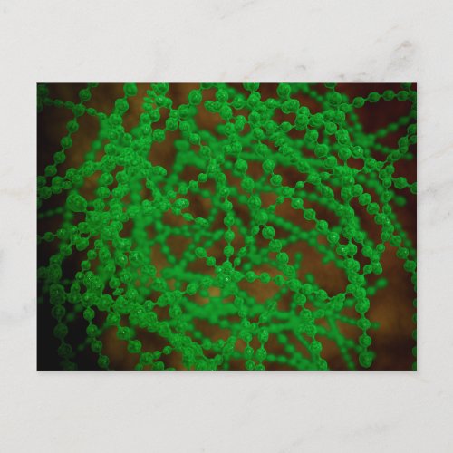 Microscopic View Of Cocci Bacterium Postcard