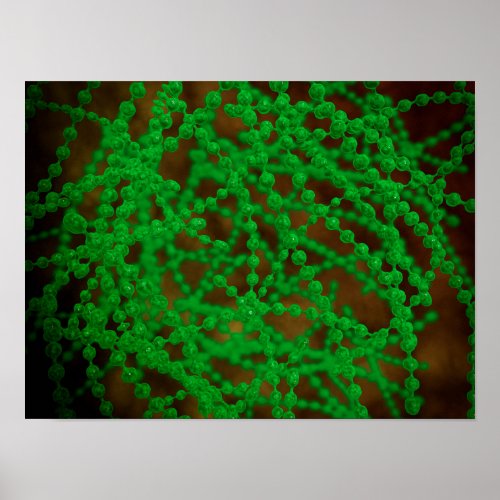 Microscopic View Of Cocci Bacterium Poster