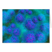 Microscopic View Of Diplococcus Bacterium Cards (Front Horizontal)