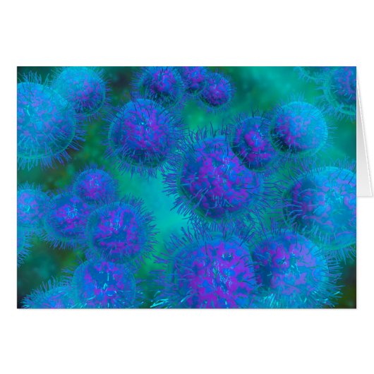 Microscopic View Of Diplococcus Bacterium Cards (Front Horizontal)