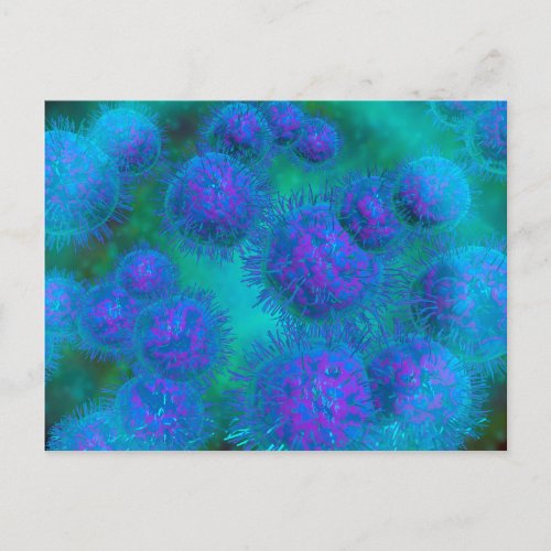 Microscopic View Of Diplococcus Bacterium Postcard