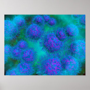 Microscopic View Of Diplococcus Bacterium Poster