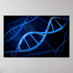 Microscopic View Of DNA Poster