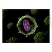 Microscopic View Of HIV Virus, Cross Section (Front Horizontal)