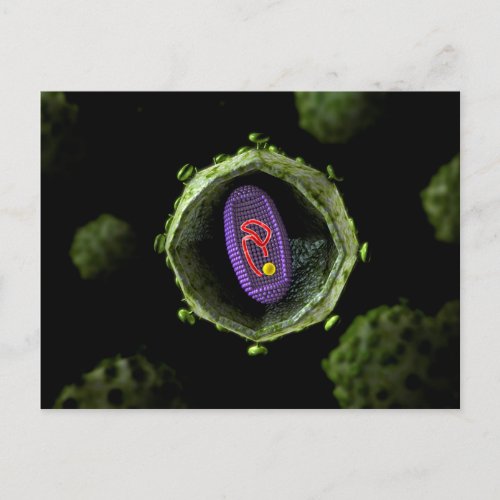 Microscopic View Of HIV Virus Cross Section Postcard