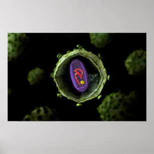 Microscopic View Of HIV Virus, Cross Section Poster