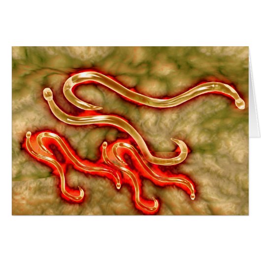 Microscopic View Of Hookworm 1 Cards (Front Horizontal)