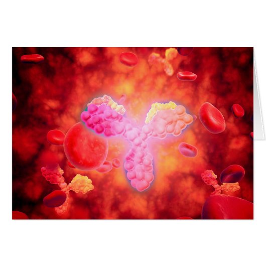 Microscopic View Of Human Anitbodies Cards (Front Horizontal)