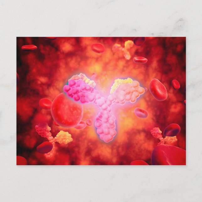 Microscopic View Of Human Anitbodies Postcard (Front)
