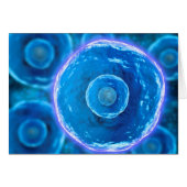 Microscopic View Of Human B-Cells 1 (Front Horizontal)