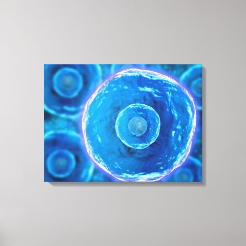 Microscopic View Of Human B_Cells 1 Canvas Print