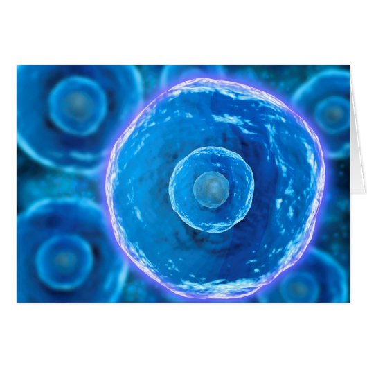 Microscopic View Of Human B-Cells 1 Cards (Front Horizontal)