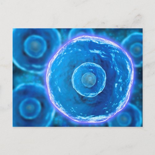 Microscopic View Of Human B_Cells 1 Postcard
