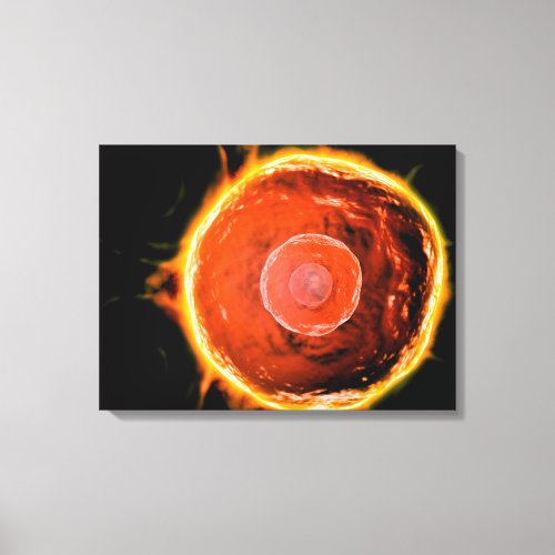 Microscopic View Of Human B_Cells 3 Canvas Print