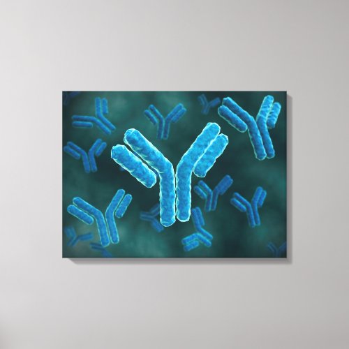 Microscopic View Of Immunoglobulin G Molecules Canvas Print