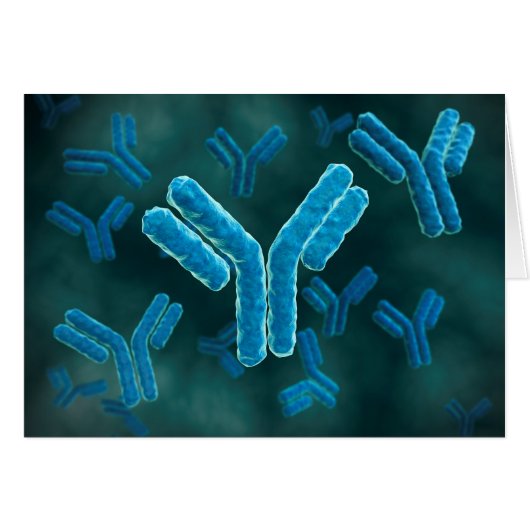 Microscopic View Of Immunoglobulin G Molecules. Cards (Front Horizontal)