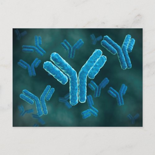 Microscopic View Of Immunoglobulin G Molecules Postcard