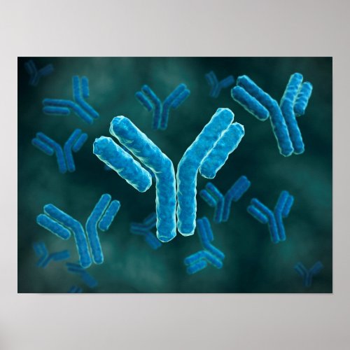 Microscopic View Of Immunoglobulin G Molecules Poster