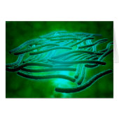 Microscopic View Of Legionella Pneumophila 1 (Front Horizontal)