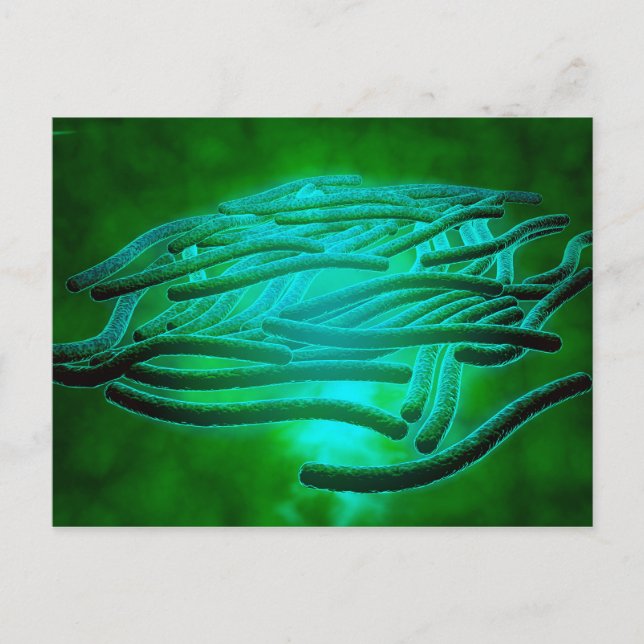 Microscopic View Of Legionella Pneumophila 1 Postcard (Front)