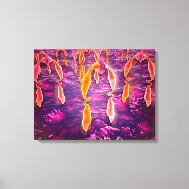 Microscopic View Of Ligand Binding To A Receptor Canvas Print (Front)