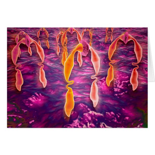 Microscopic View Of Ligand Binding To A Receptor Cards (Front Horizontal)