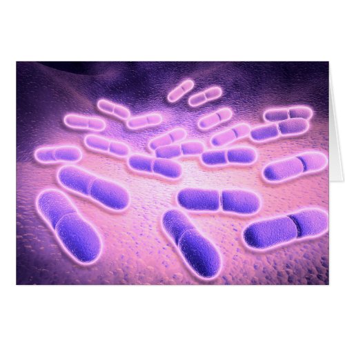 Microscopic View Of Listeria Monocytogenes 2