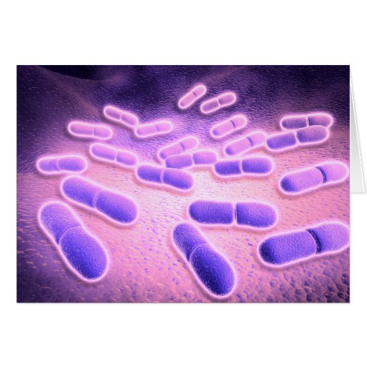 Microscopic View Of Listeria Monocytogenes 2 (Front Horizontal)