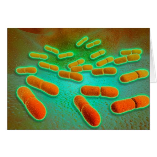 Microscopic View Of Listeria Monocytogenes 3