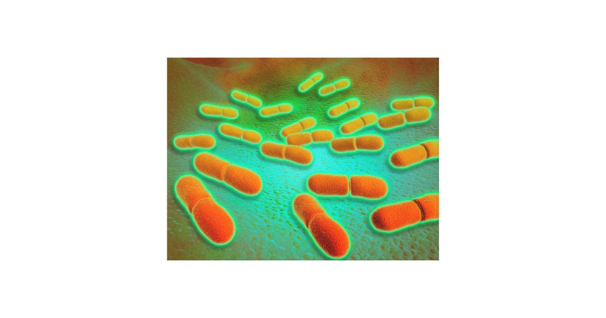 giant microbes listeria