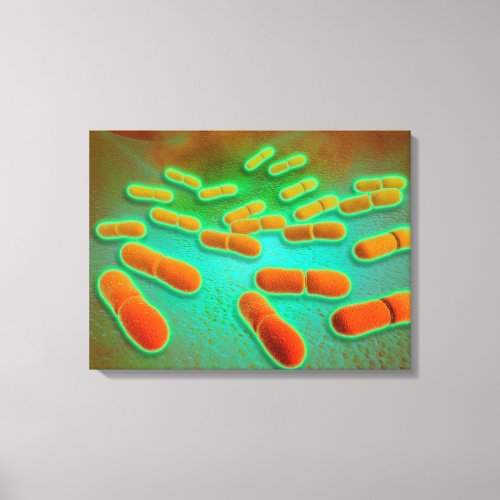 Microscopic View Of Listeria Monocytogenes 3 Canvas Print