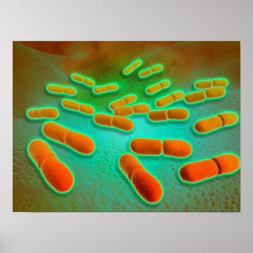 Microscopic View Of Listeria Monocytogenes 3 Poster