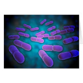 Microscopic View Of Listeria Monocytogenes 5 (Front Horizontal)