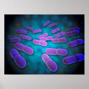 Microscopic View Of Listeria Monocytogenes 5 Poster