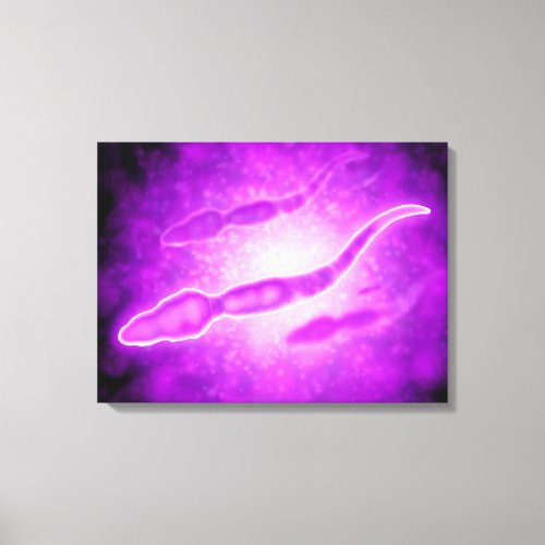 Microscopic View Of Male Sperm Cells Canvas Print