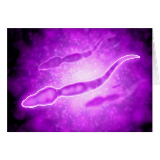 Microscopic View Of Male Sperm Cells Cards (Front Horizontal)