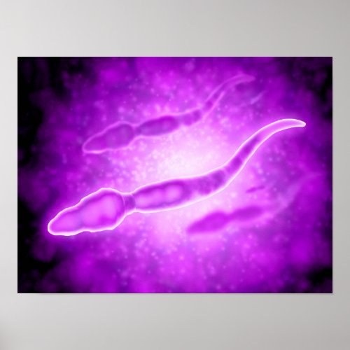 Microscopic View Of Male Sperm Cells Poster