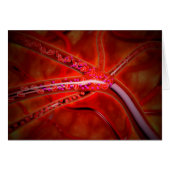 Microscopic View Of Medicine Being Injected (Front Horizontal)