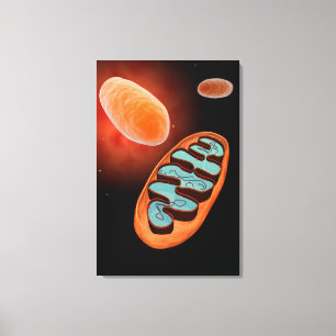 Microscopic View Of Mitochondria 1 Canvas Print