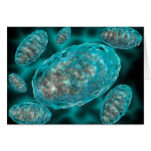 Microscopic View Of Mitochondria 2 (Front Horizontal)