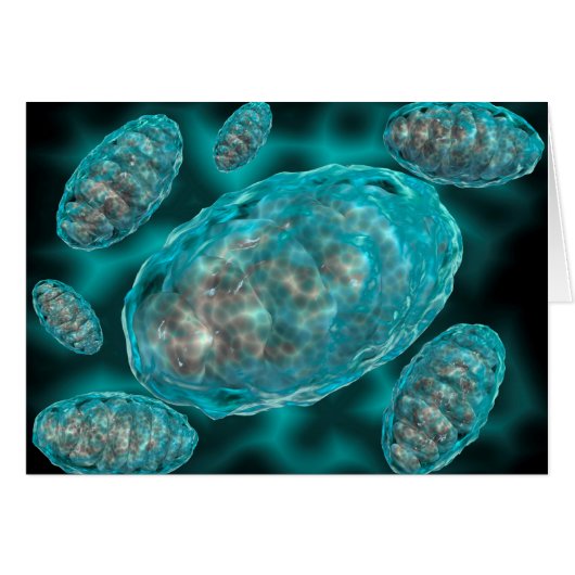 Microscopic View Of Mitochondria 2 Cards (Front Horizontal)