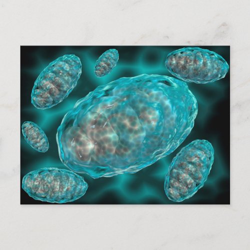 Microscopic View Of Mitochondria 2 Postcard