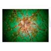 Microscopic View Of Multiple Nerve Cells 1 (Front Horizontal)