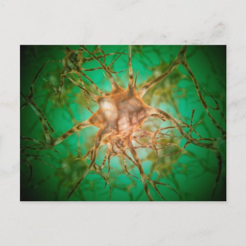 Microscopic View Of Multiple Nerve Cells 1 Postcard
