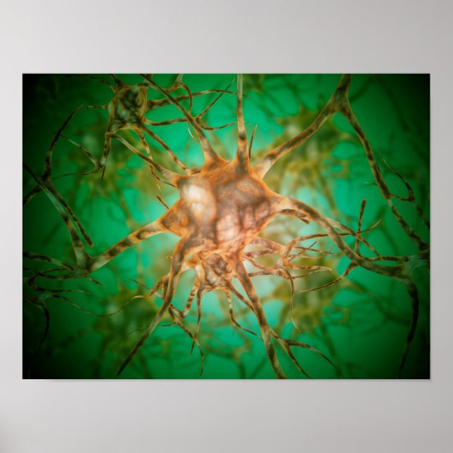 Microscopic View Of Multiple Nerve Cells 1 Poster (Front)