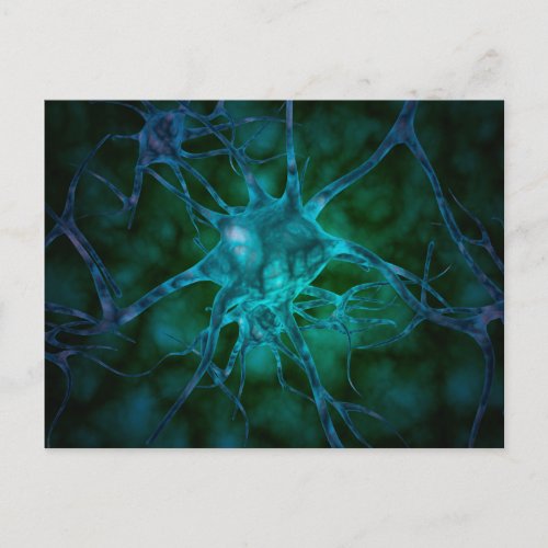 Microscopic View Of Multiple Nerve Cells 2 Postcard