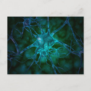 Microscopic View Of Multiple Nerve Cells 2 Postcard