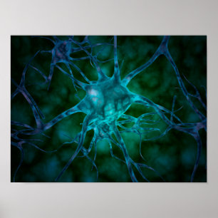 Microscopic View Of Multiple Nerve Cells 2 Poster