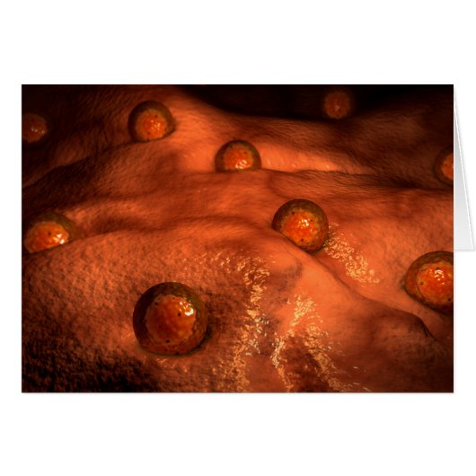 Microscopic View Of Ovules Cards (Front Horizontal)